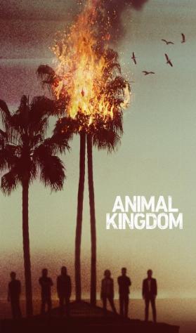 Animal Kingdom izle