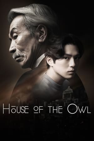 House of the Owl izle