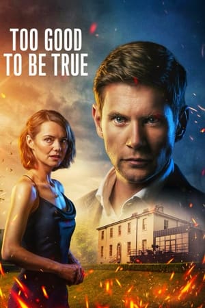 Too Good To Be True izle